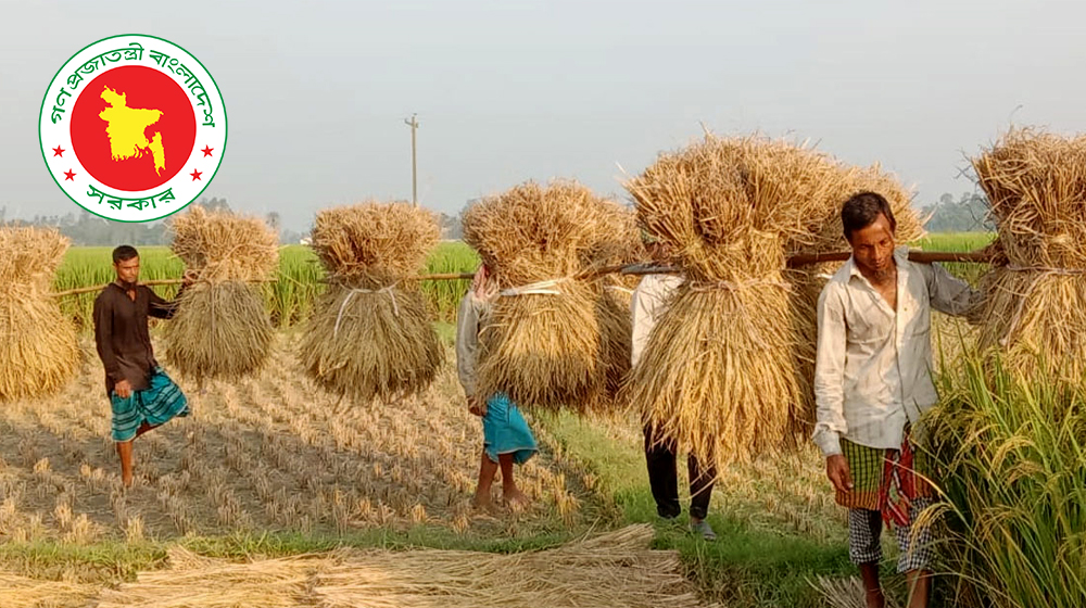 দাম বাড়িয়ে আমন ধান ও চাল সংগ্রহের লক্ষ্য নির্ধারণ