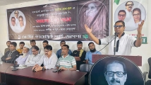 আওয়ামী লীগের নতুন ষড়যন্ত্র প্রবাসী সরকার: রাশেদ প্রধান 