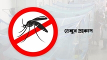 ডেঙ্গুতে এক দিনে আরও একজনের মৃত্যু