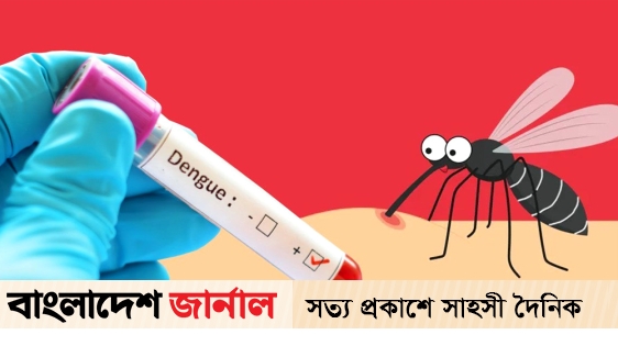 ডেঙ্গুতে ১৩ দিনে ২০ জনের মৃত্যু