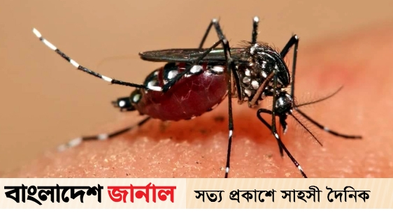 ডেঙ্গুতে আরও ৩ জনের মৃত্যু, সবাই ঢাকার