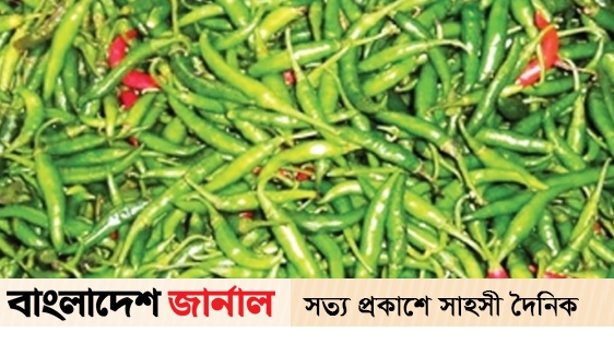 একটি মরিচের দাম ২ থেকে ৩ টাকা