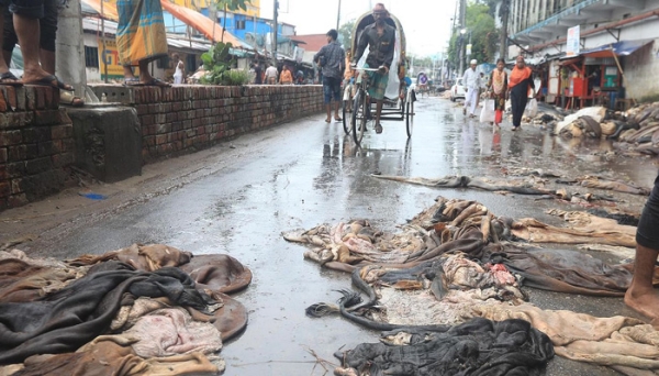 রাস্তায় চামড়া ফেলে দিলেন মৌসুমী ব্যবসায়ীরা